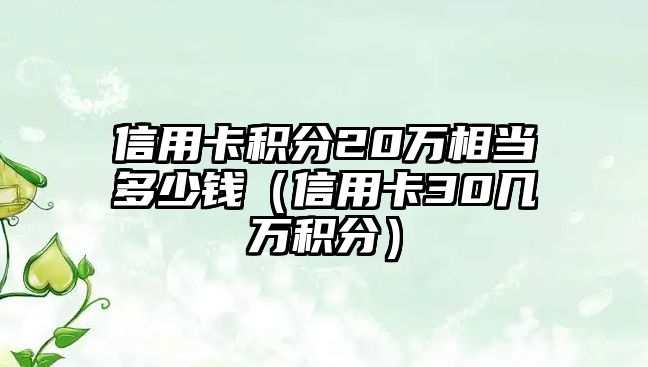 信用卡積分20萬相當多少錢（信用卡30幾萬積分）