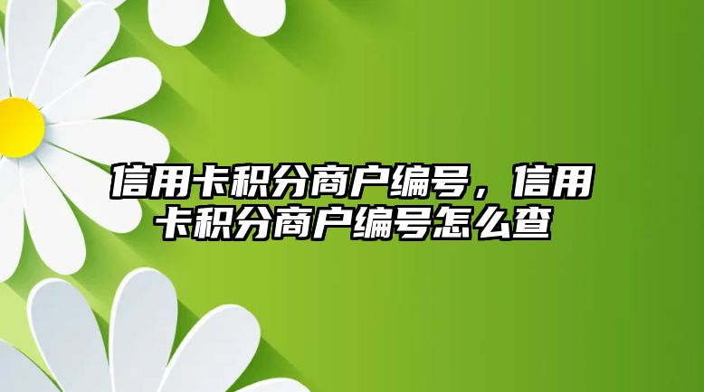 信用卡積分商戶編號，信用卡積分商戶編號怎么查