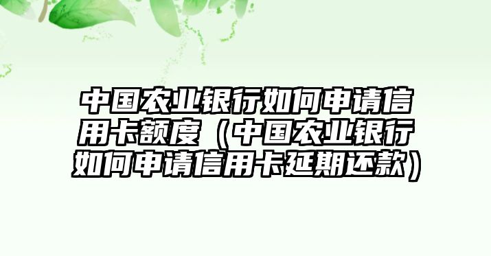 中國農業銀行如何申請信用卡額度（中國農業銀行如何申請信用卡延期還款）