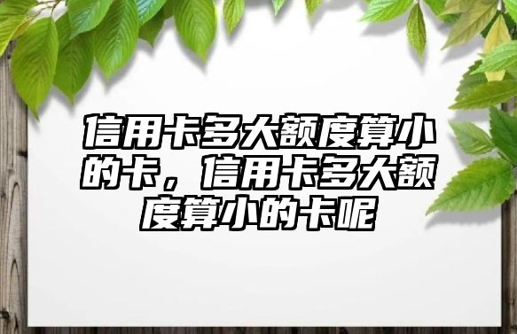 信用卡多大額度算小的卡，信用卡多大額度算小的卡呢