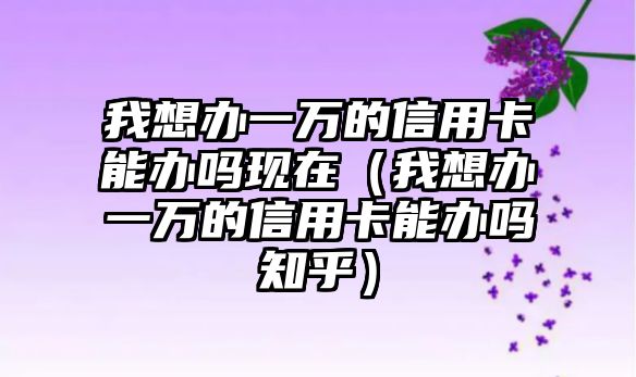 我想辦一萬(wàn)的信用卡能辦嗎現(xiàn)在（我想辦一萬(wàn)的信用卡能辦嗎知乎）