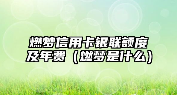 燃夢信用卡銀聯額度及年費（燃夢是什么）