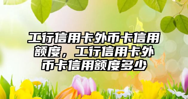 工行信用卡外幣卡信用額度，工行信用卡外幣卡信用額度多少