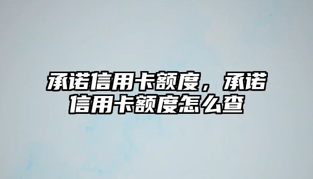 承諾信用卡額度，承諾信用卡額度怎么查