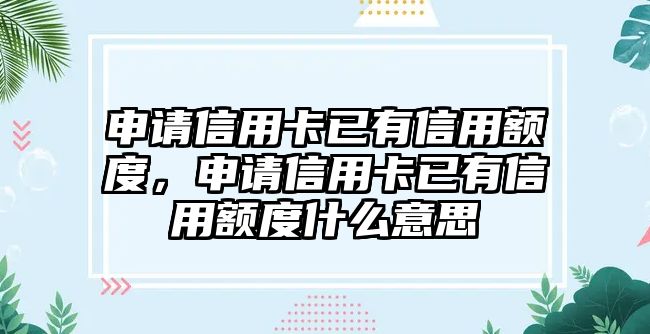 申請信用卡已有信用額度，申請信用卡已有信用額度什么意思