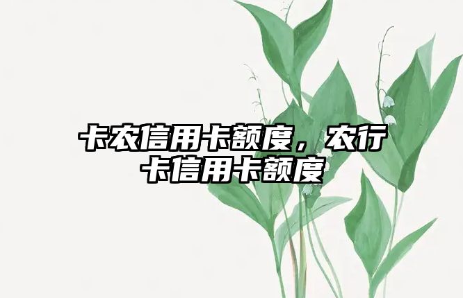 卡農信用卡額度，農行卡信用卡額度