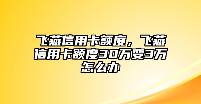 飛燕信用卡額度，飛燕信用卡額度30萬變3萬怎么辦