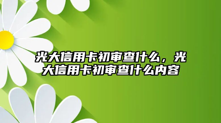 光大信用卡初審查什么，光大信用卡初審查什么內容