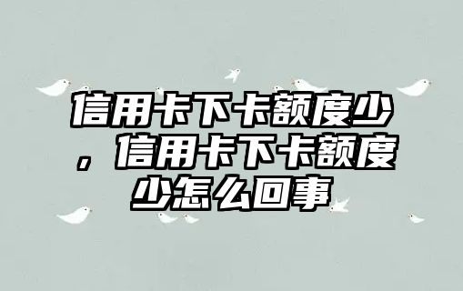 信用卡下卡額度少，信用卡下卡額度少怎么回事