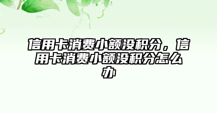 信用卡消費(fèi)小額沒積分，信用卡消費(fèi)小額沒積分怎么辦